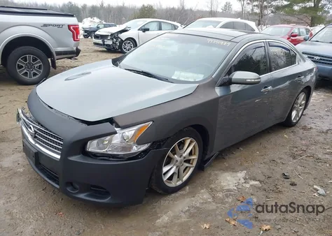 2011 Nissan Maxima 3.5 Sv z USA, uszkodzony, nr VIN 1N4AA5APXBC858691